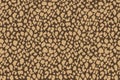 Golden beige abstract pebble pattern with irregular shapes and warm tones Royalty Free Stock Photo